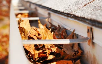 Wallsworth gutter cleaning companies