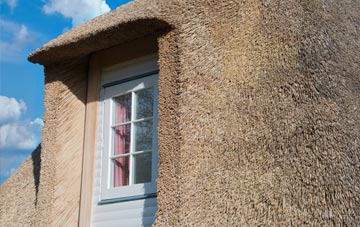 Wallsworth thatch roof disadvantages